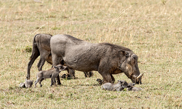20130917_Kenya_0021