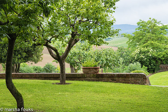 20130525_2013_may_italy_0025