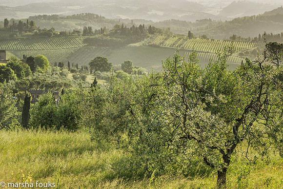 20130524_tuscany_0665-Edit-Edit