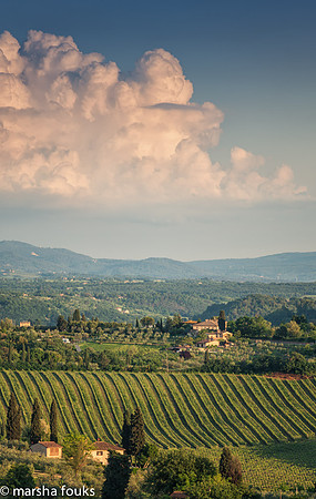 20130523_tuscany_0085-Edit-Edit
