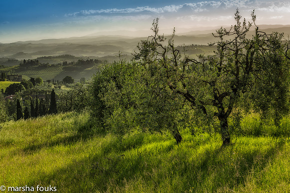 20130524_tuscany_0200-Edit-Edit-Edit