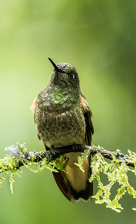 20150110_Ecuador_0009