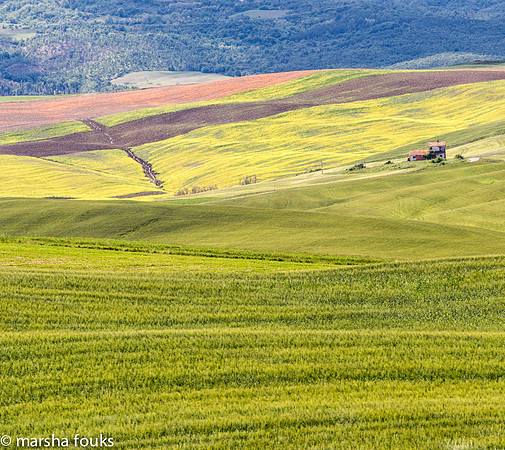 20130526_2013_may_italy_0011