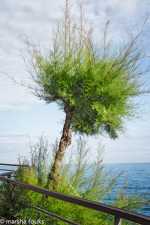 20130528_2013_may_italy_0013