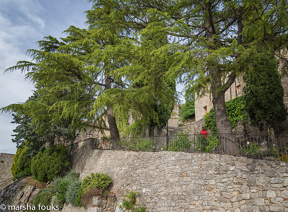 20130527_2013_may_italy_0011