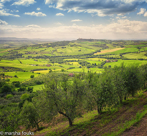 20130524_tuscany_0471-Edit-Edit-Edit