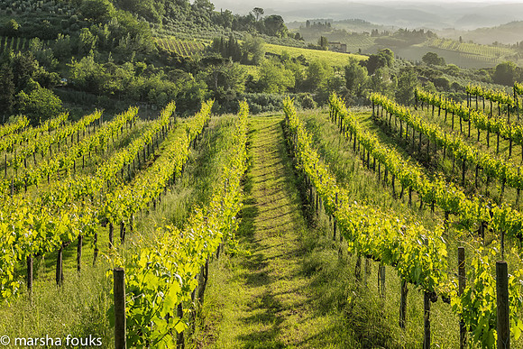 20130524_tuscany_0166-Edit-Edit