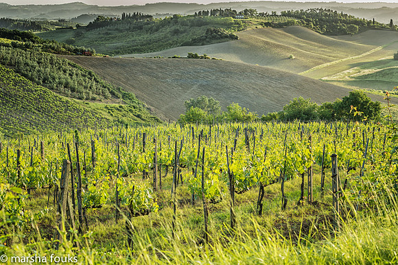 20130524_tuscany_0582-Edit-Edit
