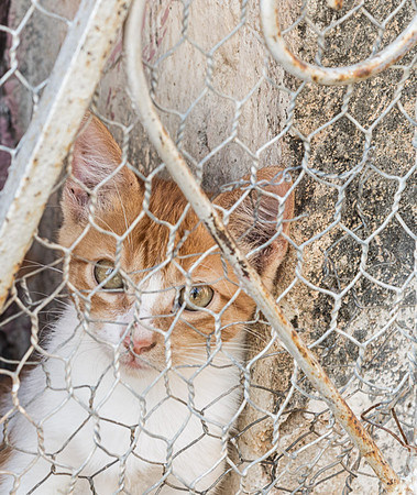 20140129_cuba_0638-Edit-2