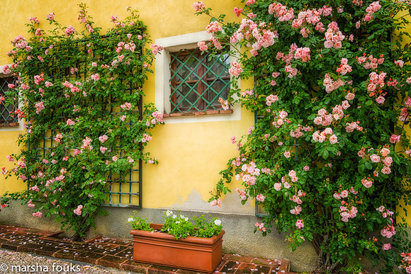 20130525_2013_may_italy_0002