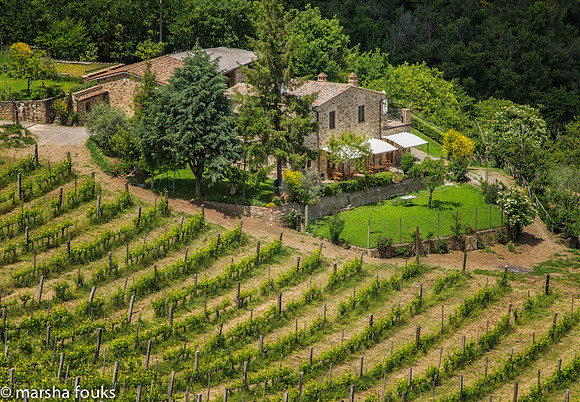 20130527_2013_may_italy_0026