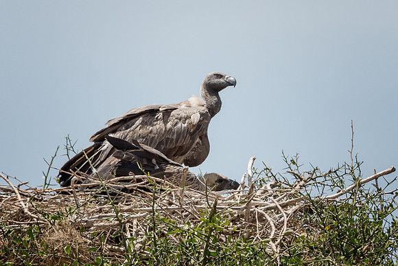 20130913_Kenya_0026