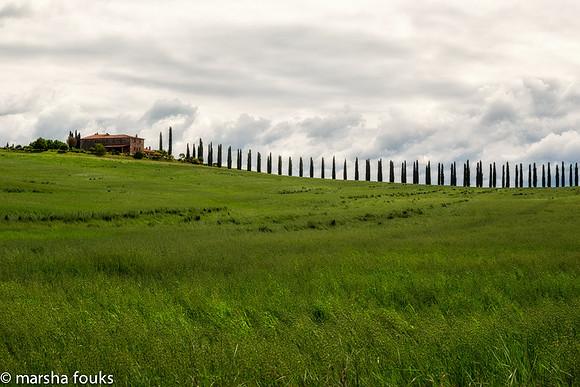 20130526_2013_may_italy_0006