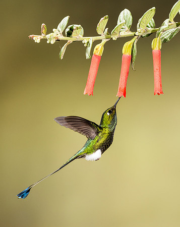 20150106_Ecuador_0001