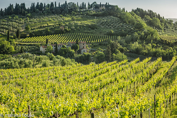 20130524_tuscany_0694-Edit-Edit