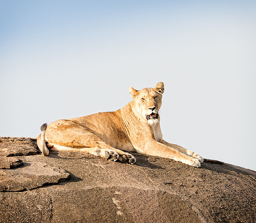 20130917_Kenya_0067