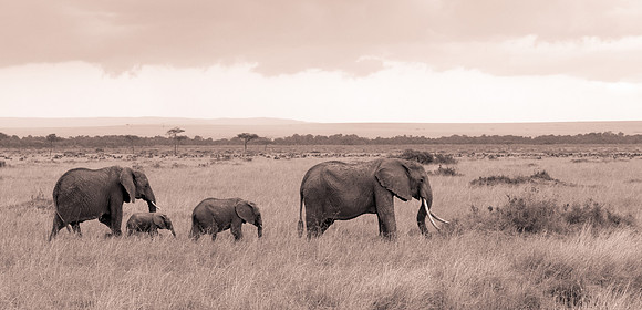 20130919_Kenya_0052