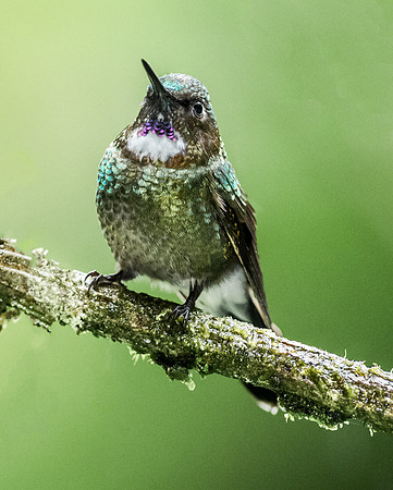 20150110_Ecuador_0005