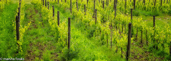 20130525_2013_may_italy_0017