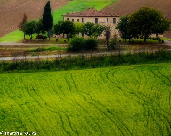 20130525_2013_may_italy_0015