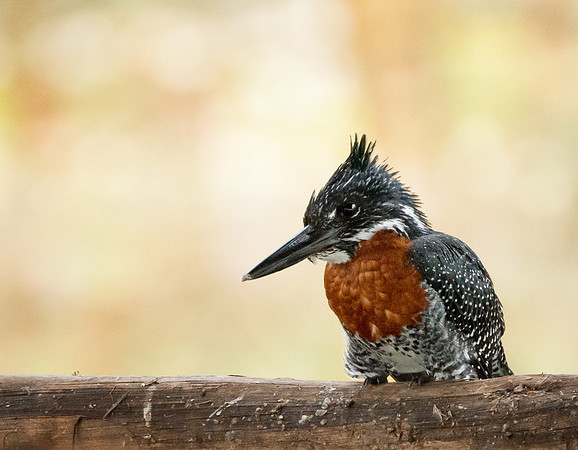 20130912_Kenya_0047