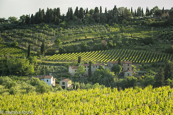 20130524_tuscany_0680-Edit-Edit