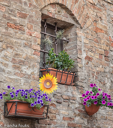 20130523_tuscany_0026-Edit-Edit