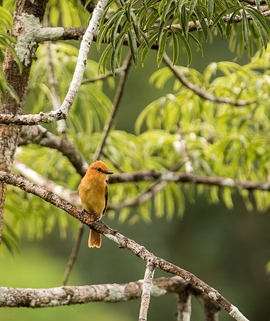 20150116_Ecuador_0002