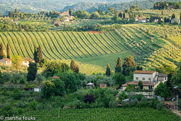 20130523_tuscany_0095-Edit-Edit