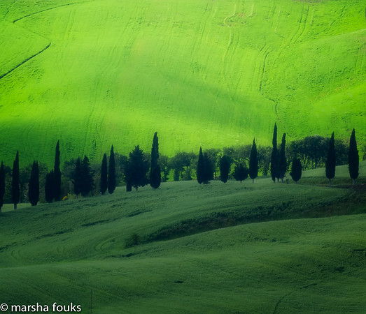 20130524_tuscany_0485-Edit-Edit-Edit-Edit