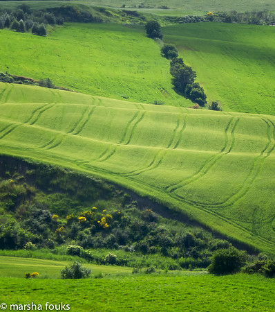 20130524_tuscany_0479-Edit-Edit-Edit-Edit