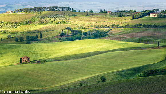 20130525_2013_may_italy_0039