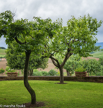 20130525_2013_may_italy_0024
