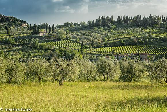 20130524_tuscany_0217-Edit-Edit