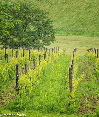 20130525_2013_may_italy_0018