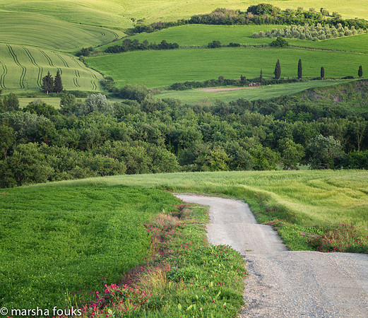20130524_2013_may_italy_0001