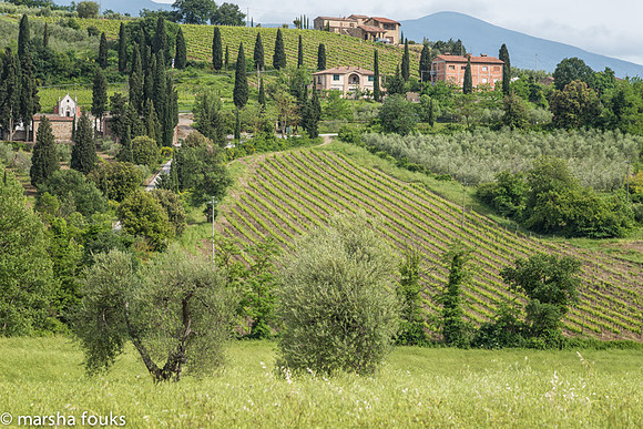 20130527_2013_may_italy_0057