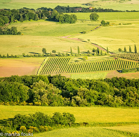 20130525_2013_may_italy_0001