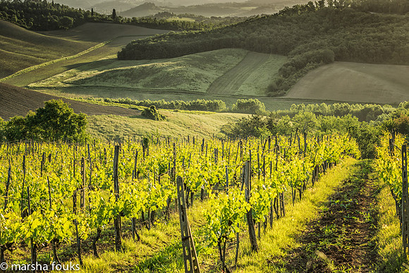 20130524_tuscany_0592-Edit-Edit