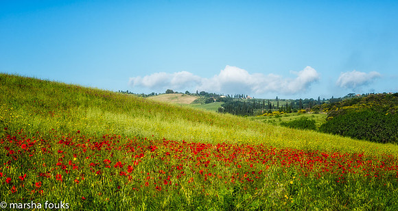 20130527_2013_may_italy_0011