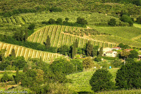 20130524_tuscany_0173-Edit-Edit-Edit