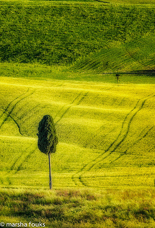 20130526_2013_may_italy_0018