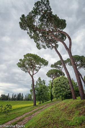 20130525_2013_may_italy_0016