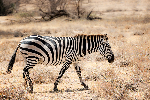 20130909_Kenya_0009-2