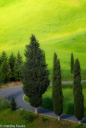20130524_tuscany_0166-Edit-Edit