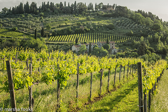 20130524_tuscany_0168-Edit-Edit