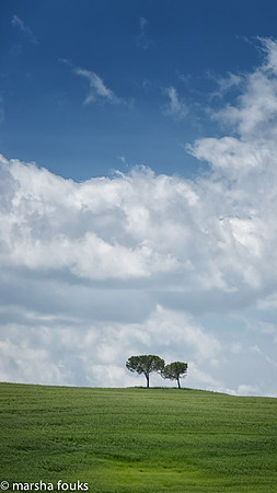 20130527_2013_may_italy_0018