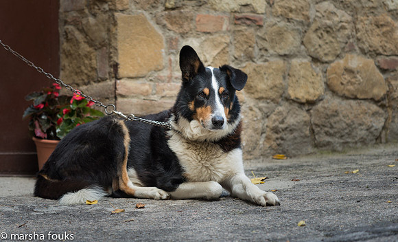 20130524_tuscany_0094