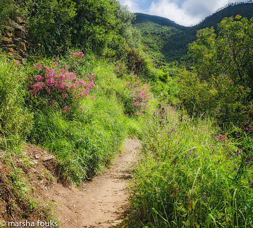 20130530_2013_may_italy_0011
