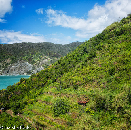 20130530_2013_may_italy_0007